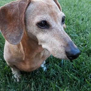 Meet your Posher, Patti